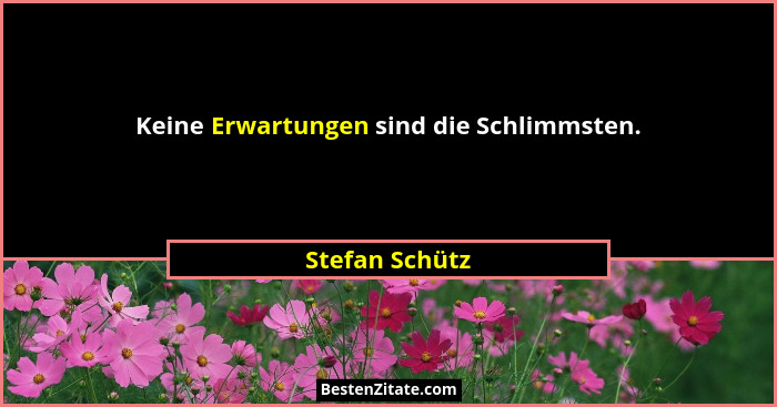 Keine Erwartungen sind die Schlimmsten.... - Stefan Schütz