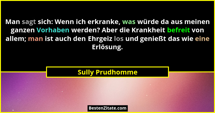 Man sagt sich: Wenn ich erkranke, was würde da aus meinen ganzen Vorhaben werden? Aber die Krankheit befreit von allem; man ist auch... - Sully Prudhomme