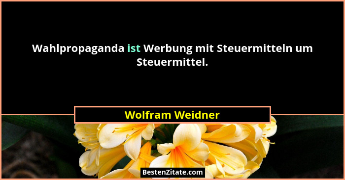 Wahlpropaganda ist Werbung mit Steuermitteln um Steuermittel.... - Wolfram Weidner