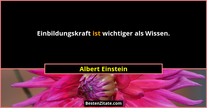 Einbildungskraft ist wichtiger als Wissen.... - Albert Einstein