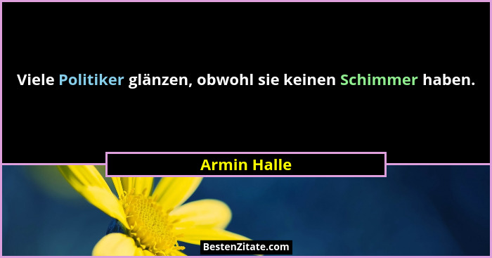 Viele Politiker glänzen, obwohl sie keinen Schimmer haben.... - Armin Halle
