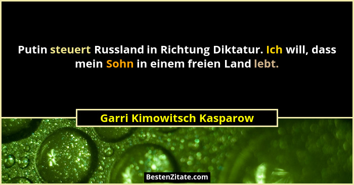 Putin steuert Russland in Richtung Diktatur. Ich will, dass mein Sohn in einem freien Land lebt.... - Garri Kimowitsch Kasparow