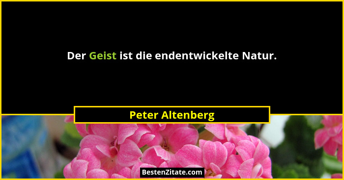 Der Geist ist die endentwickelte Natur.... - Peter Altenberg