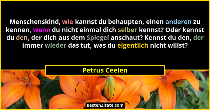 Menschenskind, wie kannst du behaupten, einen anderen zu kennen, wenn du nicht einmal dich selber kennst? Oder kennst du den, der dich... - Petrus Ceelen