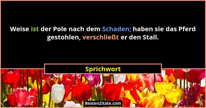 Weise ist der Pole nach dem Schaden; haben sie das Pferd gestohlen, verschließt er den Stall.... - Sprichwort