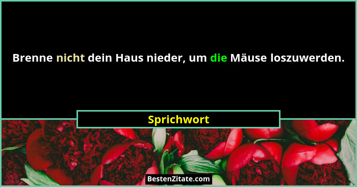 Brenne nicht dein Haus nieder, um die Mäuse loszuwerden.... - Sprichwort