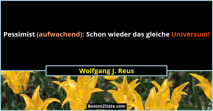 Pessimist (aufwachend): Schon wieder das gleiche Universum!... - Wolfgang J. Reus