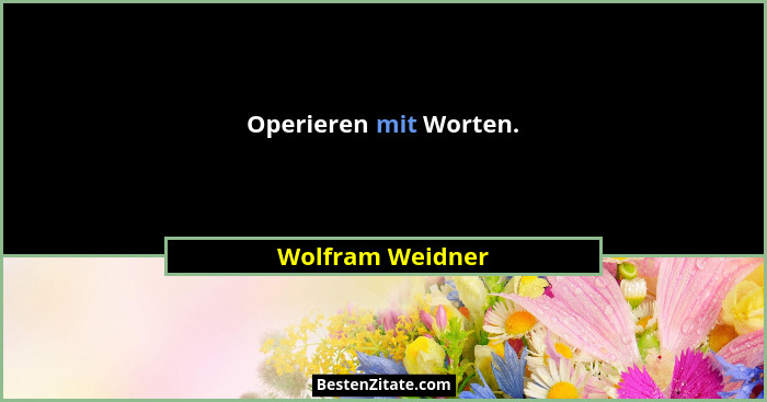 Operieren mit Worten.... - Wolfram Weidner