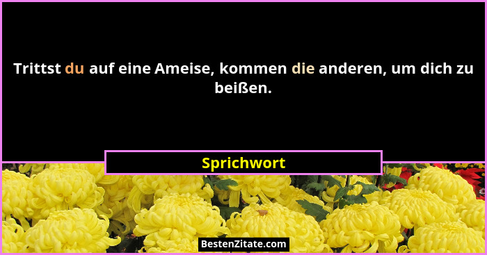 Trittst du auf eine Ameise, kommen die anderen, um dich zu beißen.... - Sprichwort