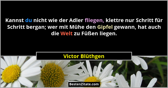 Kannst du nicht wie der Adler fliegen, klettre nur Schritt für Schritt bergan; wer mit Mühe den Gipfel gewann, hat auch die Welt zu... - Victor Blüthgen