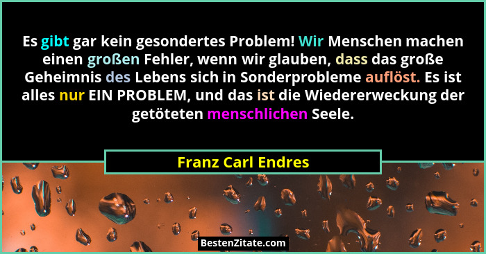 Es gibt gar kein gesondertes Problem! Wir Menschen machen einen großen Fehler, wenn wir glauben, dass das große Geheimnis des Lebe... - Franz Carl Endres