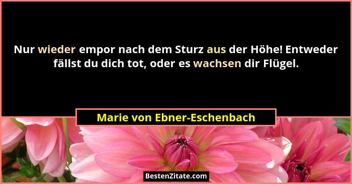 Nur wieder empor nach dem Sturz aus der Höhe! Entweder fällst du dich tot, oder es wachsen dir Flügel.... - Marie von Ebner-Eschenbach