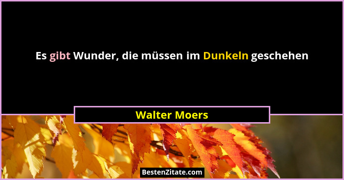 Es gibt Wunder, die müssen im Dunkeln geschehen... - Walter Moers