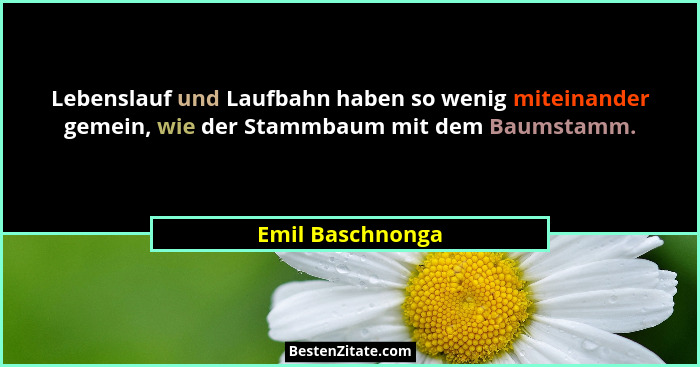 Lebenslauf und Laufbahn haben so wenig miteinander gemein, wie der Stammbaum mit dem Baumstamm.... - Emil Baschnonga