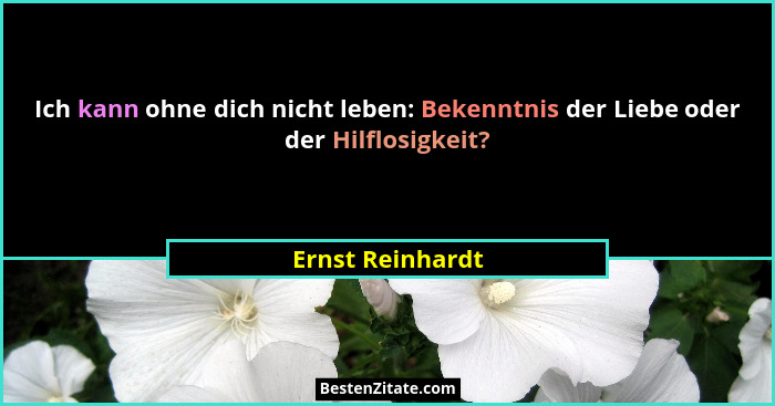 Ich kann ohne dich nicht leben: Bekenntnis der Liebe oder der Hilflosigkeit?... - Ernst Reinhardt