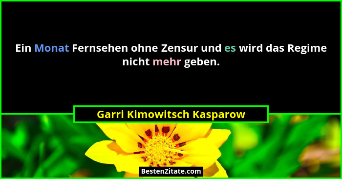 Ein Monat Fernsehen ohne Zensur und es wird das Regime nicht mehr geben.... - Garri Kimowitsch Kasparow