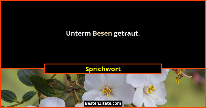 Unterm Besen getraut.... - Sprichwort