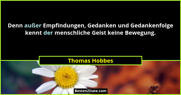 Denn außer Empfindungen, Gedanken und Gedankenfolge kennt der menschliche Geist keine Bewegung.... - Thomas Hobbes