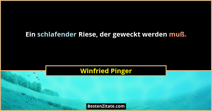 Ein schlafender Riese, der geweckt werden muß.... - Winfried Pinger
