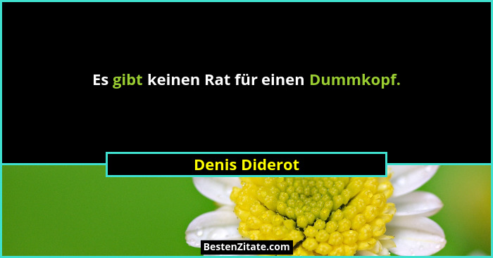 Es gibt keinen Rat für einen Dummkopf.... - Denis Diderot