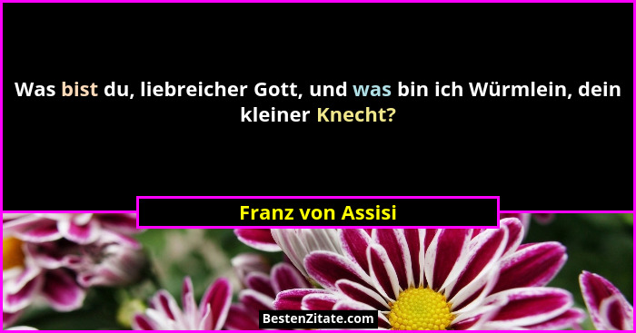 Was bist du, liebreicher Gott, und was bin ich Würmlein, dein kleiner Knecht?... - Franz von Assisi