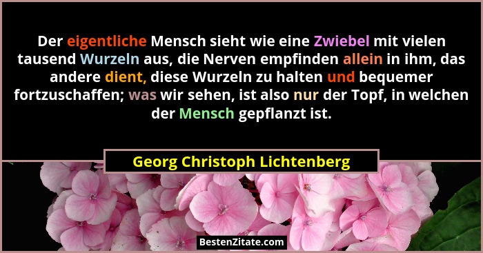 Der eigentliche Mensch sieht wie eine Zwiebel mit vielen tausend Wurzeln aus, die Nerven empfinden allein in ihm, das an... - Georg Christoph Lichtenberg