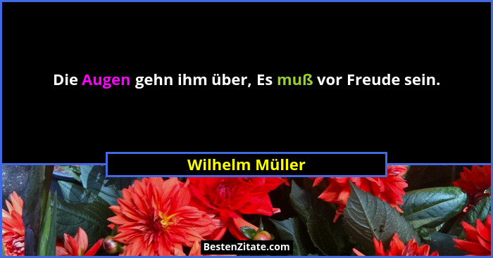 Die Augen gehn ihm über, Es muß vor Freude sein.... - Wilhelm Müller