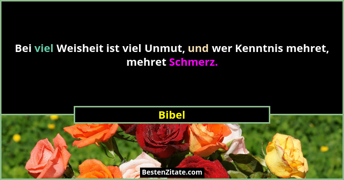 Bei viel Weisheit ist viel Unmut, und wer Kenntnis mehret, mehret Schmerz.... - Bibel