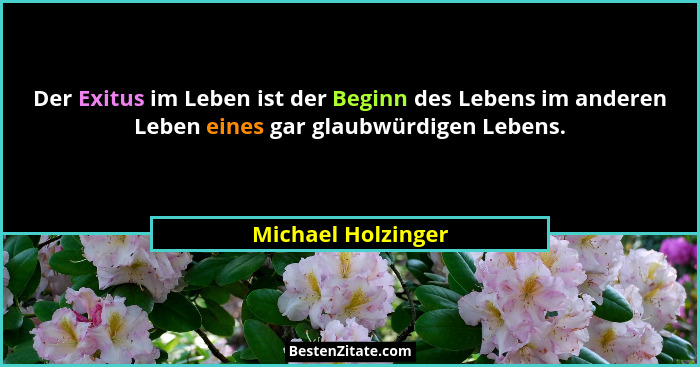 Der Exitus im Leben ist der Beginn des Lebens im anderen Leben eines gar glaubwürdigen Lebens.... - Michael Holzinger
