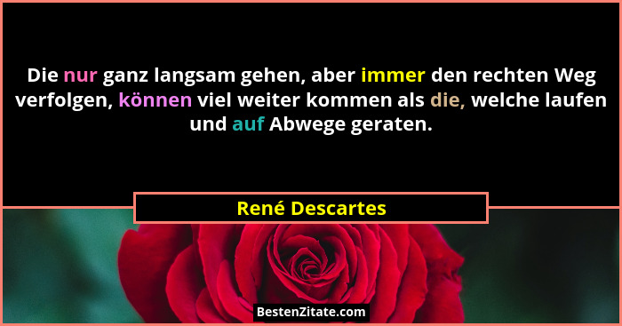 Die nur ganz langsam gehen, aber immer den rechten Weg verfolgen, können viel weiter kommen als die, welche laufen und auf Abwege ger... - René Descartes