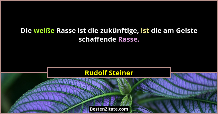 Die weiße Rasse ist die zukünftige, ist die am Geiste schaffende Rasse.... - Rudolf Steiner