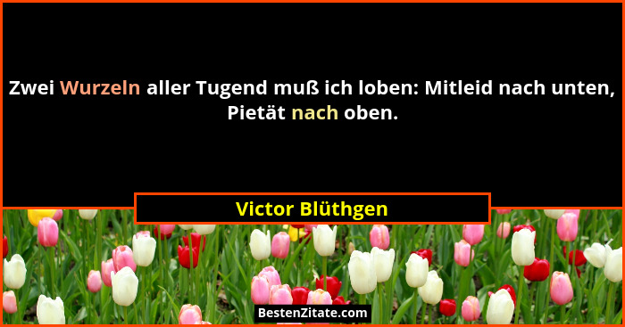 Zwei Wurzeln aller Tugend muß ich loben: Mitleid nach unten, Pietät nach oben.... - Victor Blüthgen