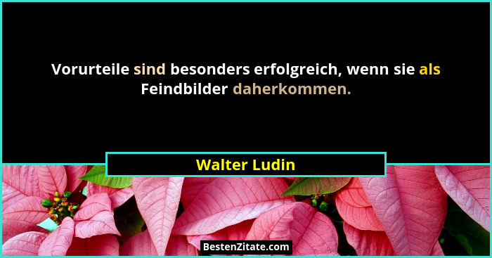 Vorurteile sind besonders erfolgreich, wenn sie als Feindbilder daherkommen.... - Walter Ludin