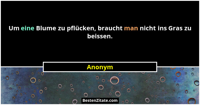 Um eine Blume zu pflücken, braucht man nicht ins Gras zu beissen.... - Anonym