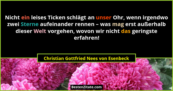 Nicht ein leises Ticken schlägt an unser Ohr, wenn irgendwo zwei Sterne aufeinander rennen – was mag erst auße... - Christian Gottfried Nees von Esenbeck