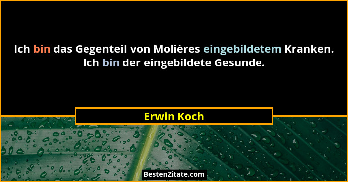 Ich bin das Gegenteil von Molières eingebildetem Kranken. Ich bin der eingebildete Gesunde.... - Erwin Koch