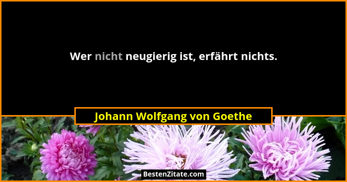 Wer nicht neugierig ist, erfährt nichts.... - Johann Wolfgang von Goethe
