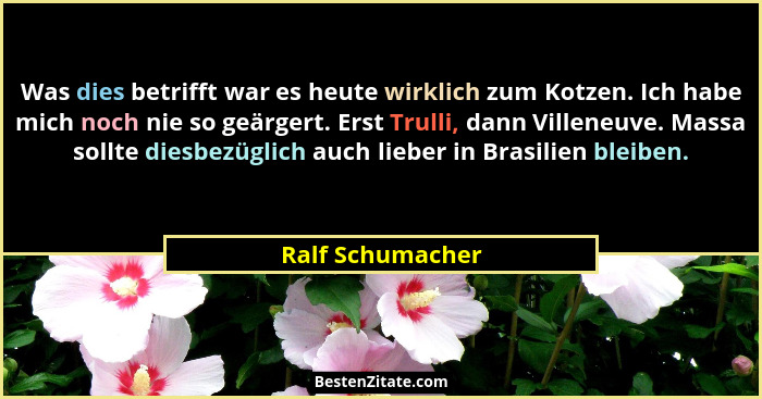 Was dies betrifft war es heute wirklich zum Kotzen. Ich habe mich noch nie so geärgert. Erst Trulli, dann Villeneuve. Massa sollte d... - Ralf Schumacher