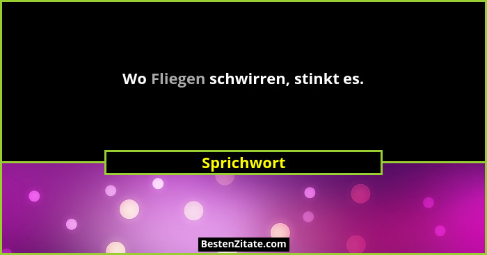 Wo Fliegen schwirren, stinkt es.... - Sprichwort