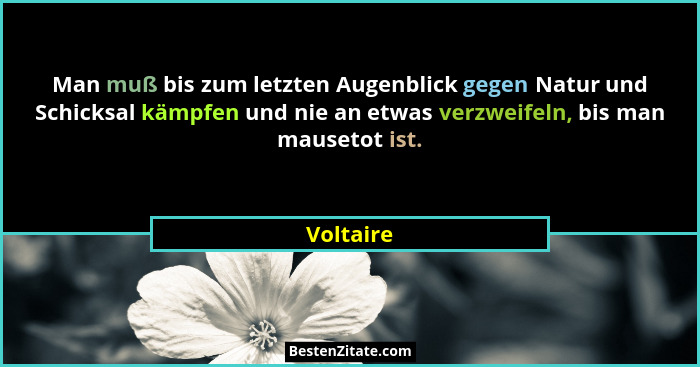 Man muß bis zum letzten Augenblick gegen Natur und Schicksal kämpfen und nie an etwas verzweifeln, bis man mausetot ist.... - Voltaire