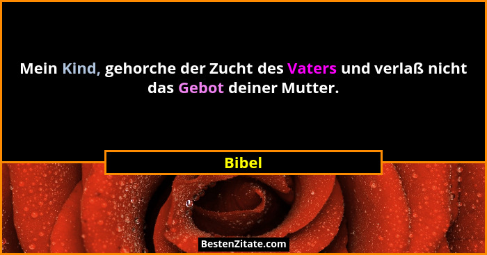 Mein Kind, gehorche der Zucht des Vaters und verlaß nicht das Gebot deiner Mutter.... - Bibel
