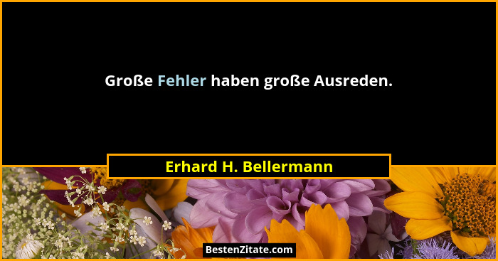Große Fehler haben große Ausreden.... - Erhard H. Bellermann