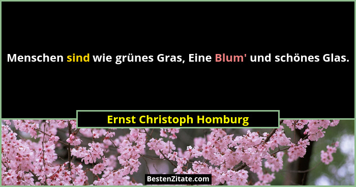 Menschen sind wie grünes Gras, Eine Blum' und schönes Glas.... - Ernst Christoph Homburg