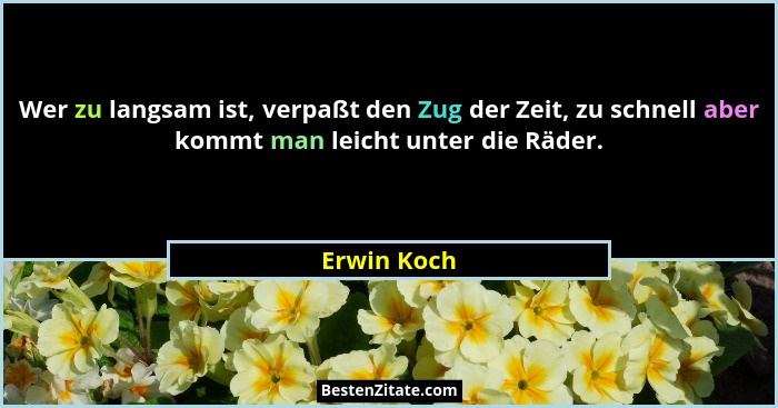 Wer zu langsam ist, verpaßt den Zug der Zeit, zu schnell aber kommt man leicht unter die Räder.... - Erwin Koch