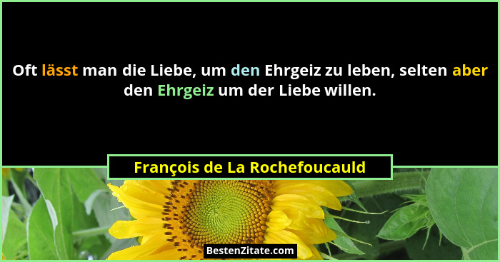 Oft lässt man die Liebe, um den Ehrgeiz zu leben, selten aber den Ehrgeiz um der Liebe willen.... - François de La Rochefoucauld