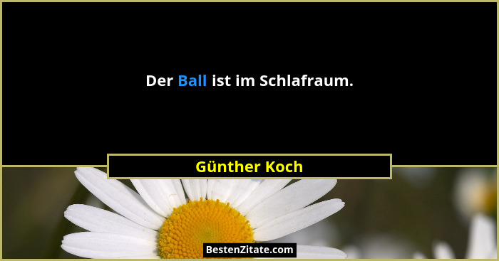Der Ball ist im Schlafraum.... - Günther Koch