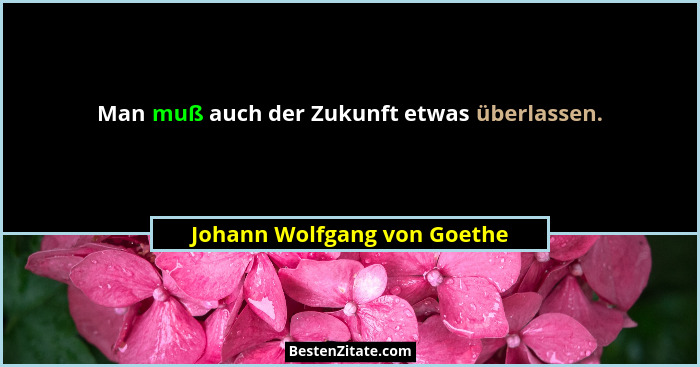 Man muß auch der Zukunft etwas überlassen.... - Johann Wolfgang von Goethe
