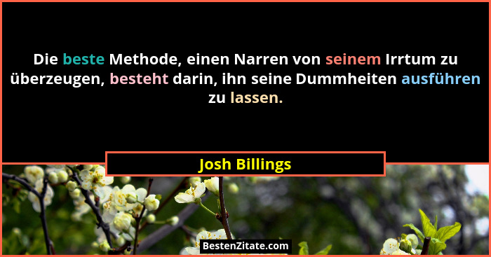Die beste Methode, einen Narren von seinem Irrtum zu überzeugen, besteht darin, ihn seine Dummheiten ausführen zu lassen.... - Josh Billings