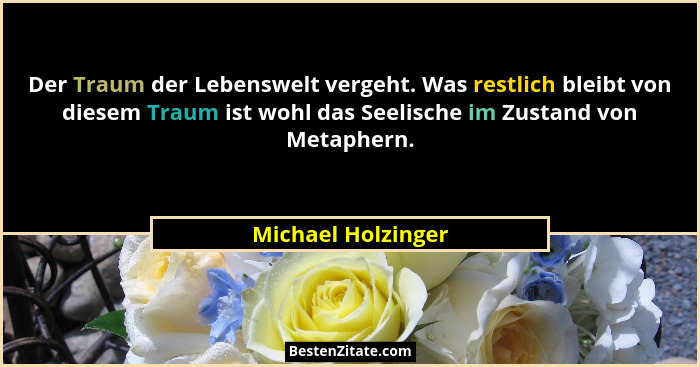 Der Traum der Lebenswelt vergeht. Was restlich bleibt von diesem Traum ist wohl das Seelische im Zustand von Metaphern.... - Michael Holzinger