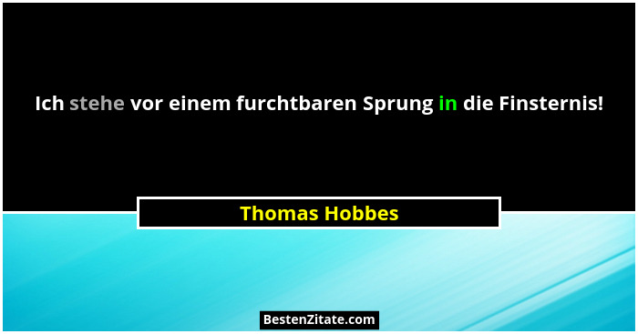 Ich stehe vor einem furchtbaren Sprung in die Finsternis!... - Thomas Hobbes